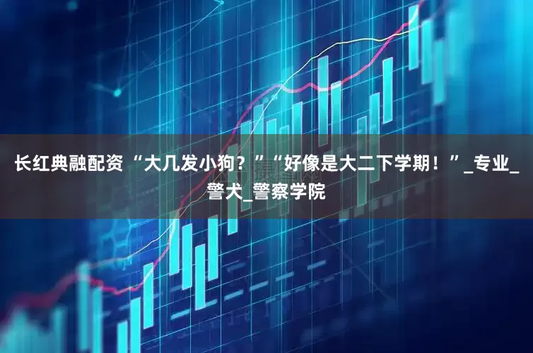 长红典融配资 “大几发小狗？”“好像是大二下学期！”_专业_警犬_警察学院