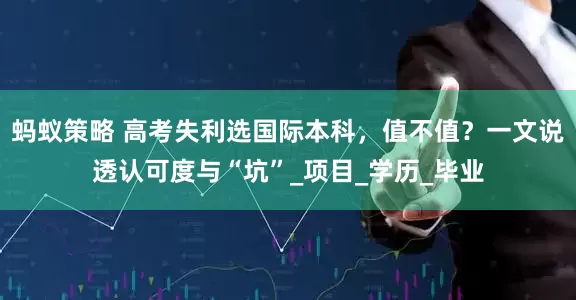 蚂蚁策略 高考失利选国际本科，值不值？一文说透认可度与“坑”_项目_学历_毕业